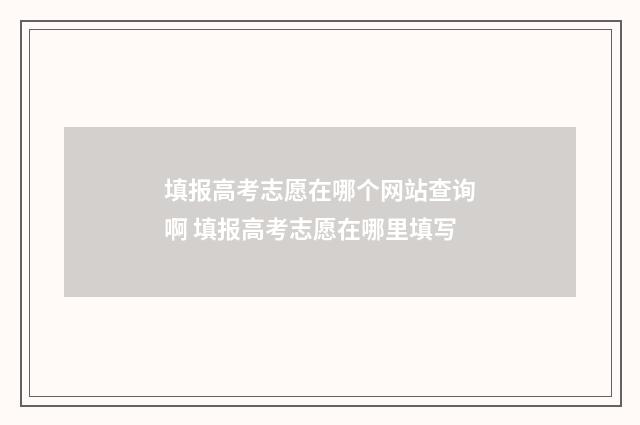 填报高考志愿在哪个网站查询啊 填报高考志愿在哪里填写