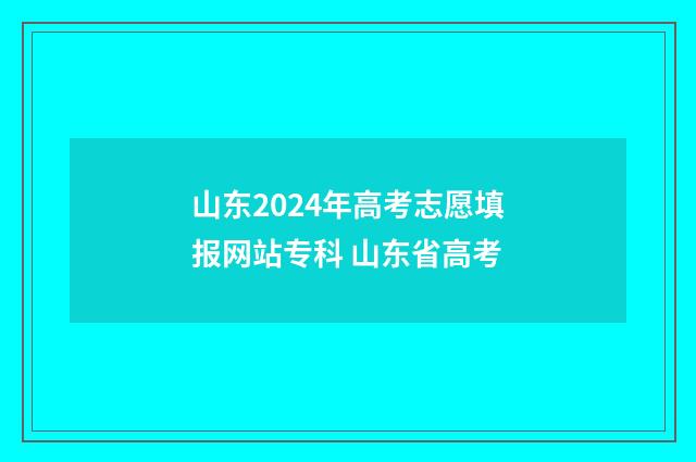 山东2024年高考志愿填报网站专科 山东省高考