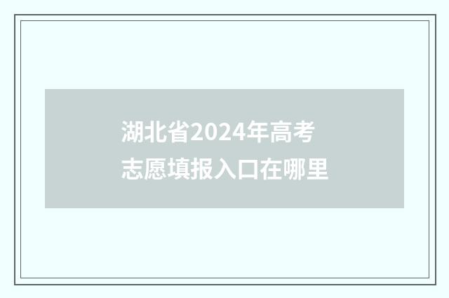 湖北省2024年高考志愿填报入口在哪里