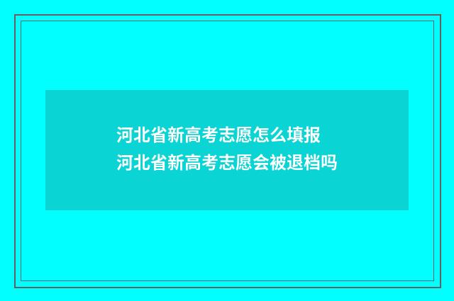 河北省新高考志愿怎么填报 河北省新高考志愿会被退档吗
