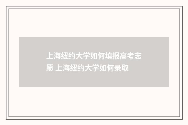上海纽约大学如何填报高考志愿 上海纽约大学如何录取