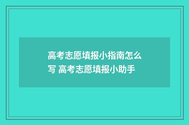 高考志愿填报小指南怎么写 高考志愿填报小助手