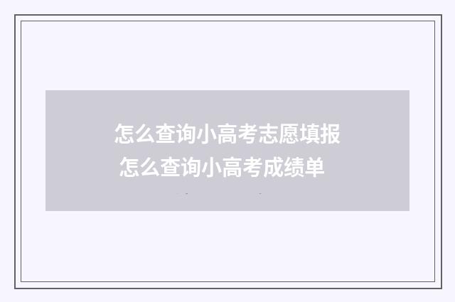 怎么查询小高考志愿填报 怎么查询小高考成绩单