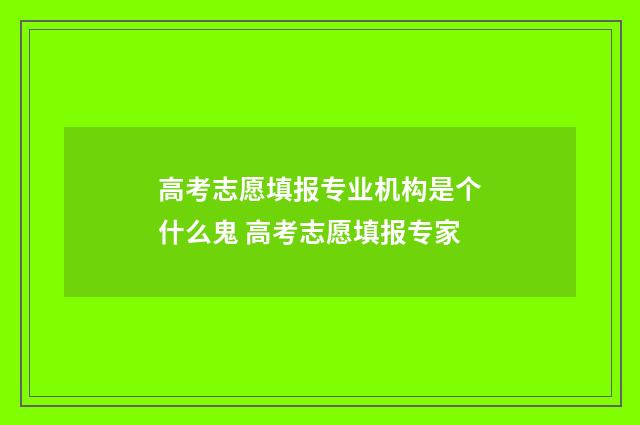 高考志愿填报专业机构是个什么鬼 高考志愿填报专家