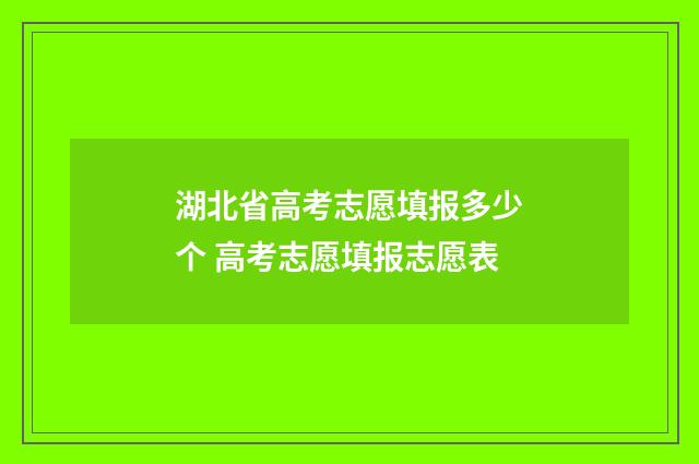湖北省高考志愿填报多少个 高考志愿填报志愿表
