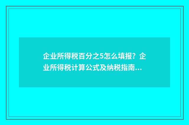 企业所得税百分之5怎么填报？企业所得税计算公式及纳税指南 企业所得税百分25怎么算