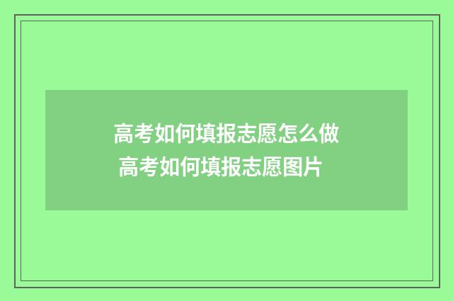 高考如何填报志愿怎么做 高考如何填报志愿图片
