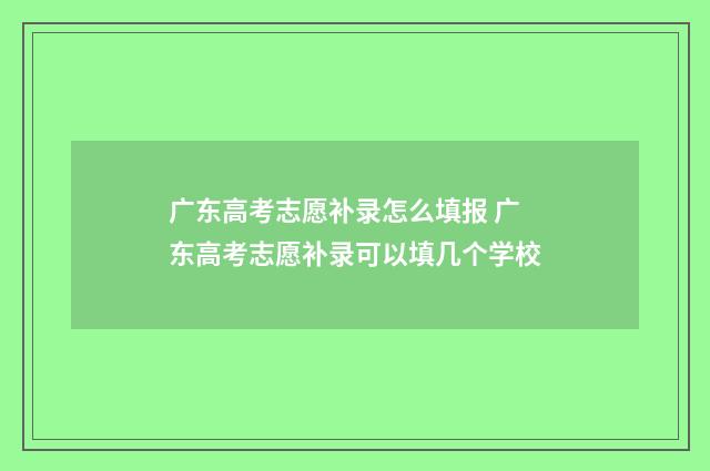广东高考志愿补录怎么填报 广东高考志愿补录可以填几个学校