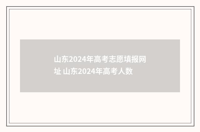 山东2024年高考志愿填报网址 山东2024年高考人数