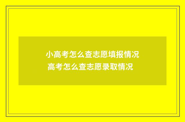 小高考怎么查志愿填报情况 高考怎么查志愿录取情况