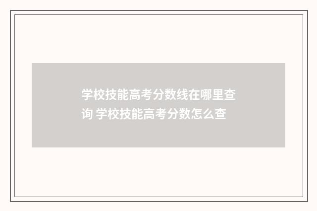 学校技能高考分数线在哪里查询 学校技能高考分数怎么查
