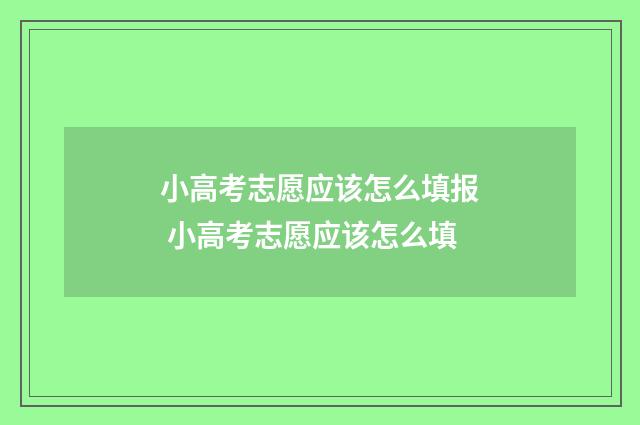小高考志愿应该怎么填报 小高考志愿应该怎么填