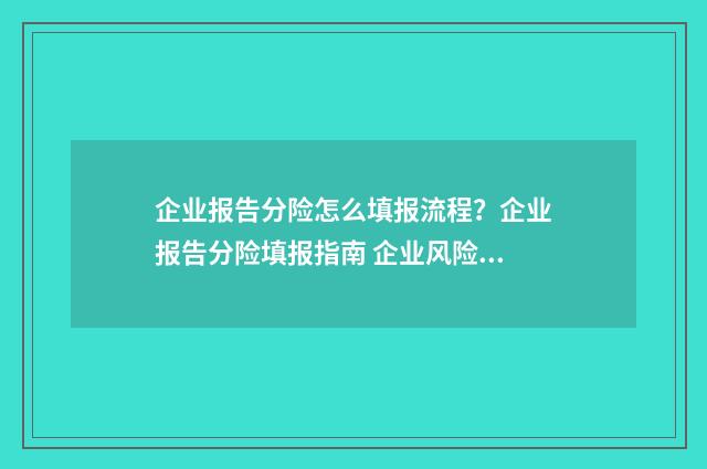 企业报告分险怎么填报流程？企业报告分险填报指南 企业风险报告怎么做