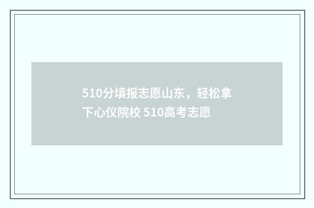 510分填报志愿山东，轻松拿下心仪院校 510高考志愿