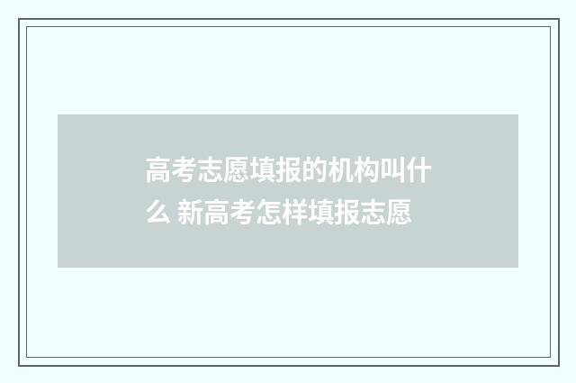 高考志愿填报的机构叫什么 新高考怎样填报志愿
