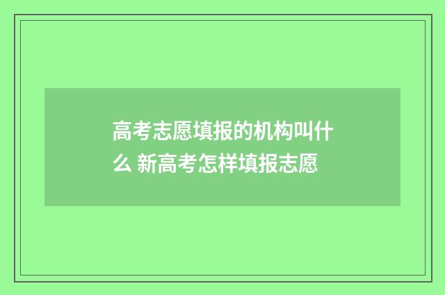 高考志愿填报的机构叫什么 新高考怎样填报志愿