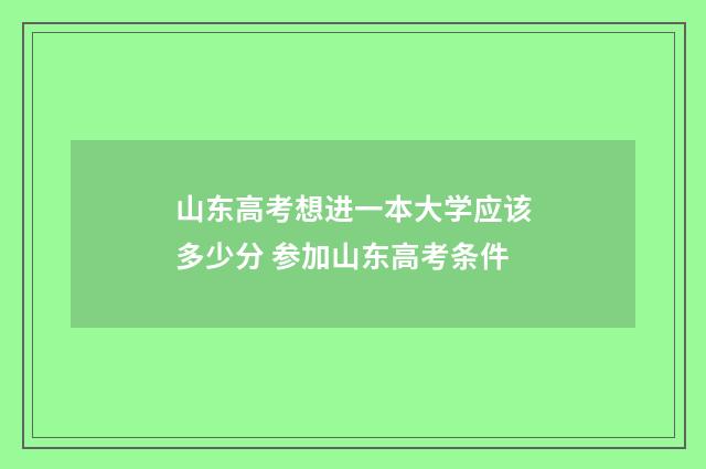 山东高考想进一本大学应该多少分 参加山东高考条件
