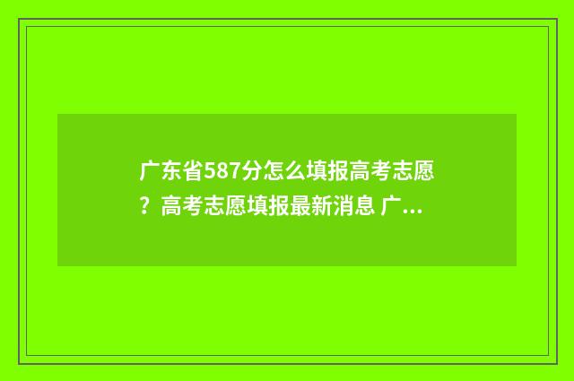 广东省587分怎么填报高考志愿?高考志愿填报最新消息 广东587分能上211吗