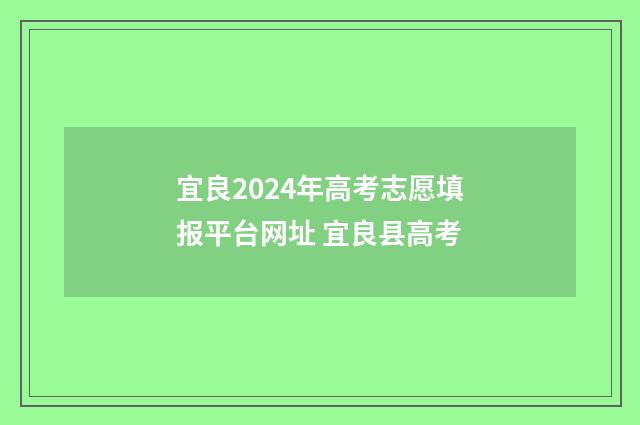 宜良2024年高考志愿填报平台网址 宜良县高考