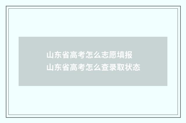 山东省高考怎么志愿填报 山东省高考怎么查录取状态