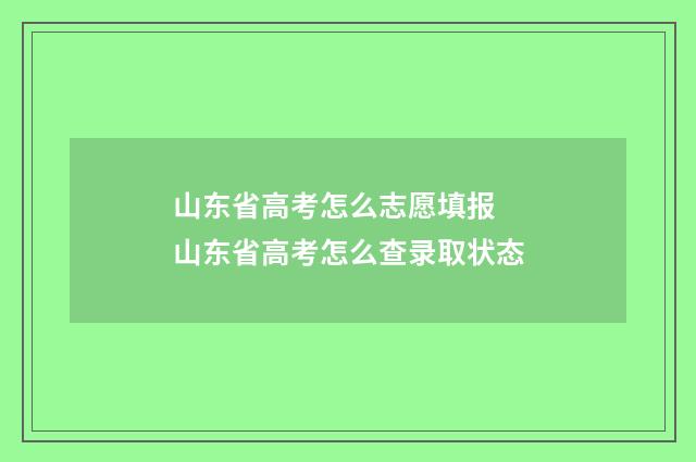山东省高考怎么志愿填报 山东省高考怎么查录取状态