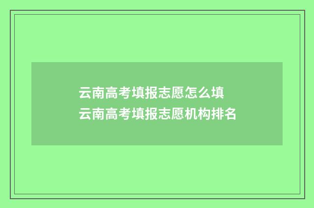 云南高考填报志愿怎么填 云南高考填报志愿机构排名