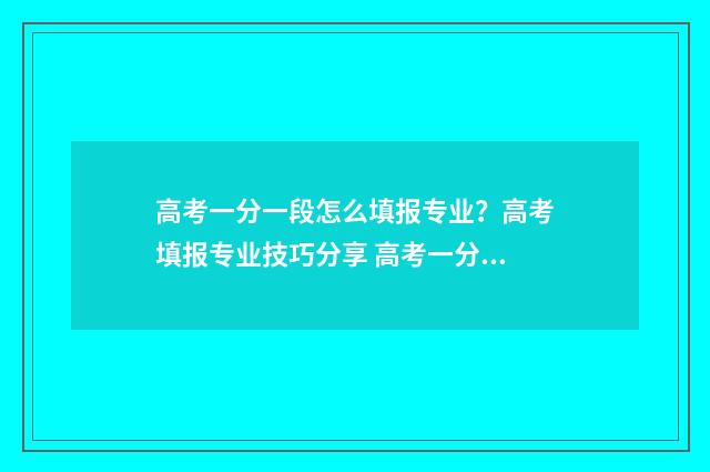 高考一分一段怎么填报专业？高考填报专业技巧分享 高考一分一段怎么排名