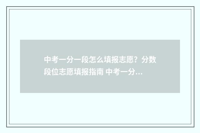 中考一分一段怎么填报志愿?分数段位志愿填报指南 中考一分一段怎么换算位次