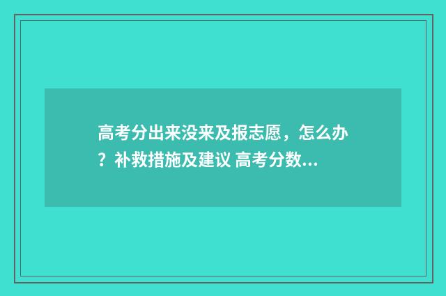 高考分出来没来及报志愿，怎么办？补救措施及建议 高考分数没出来