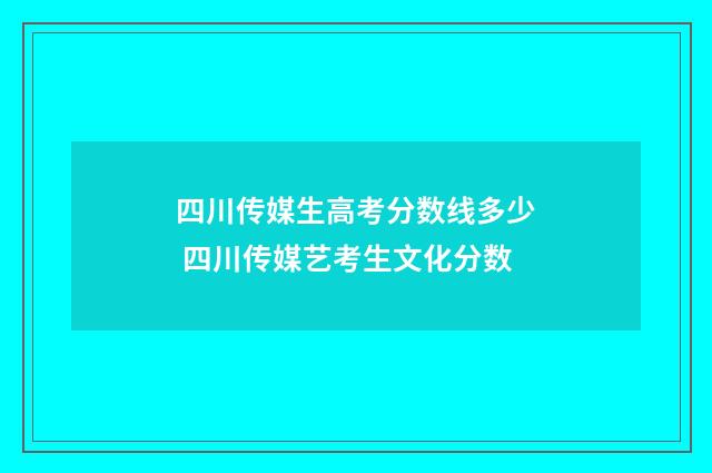 四川传媒生高考分数线多少 四川传媒艺考生文化分数