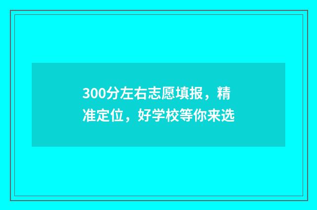 300分左右志愿填报，精准定位，好学校等你来选