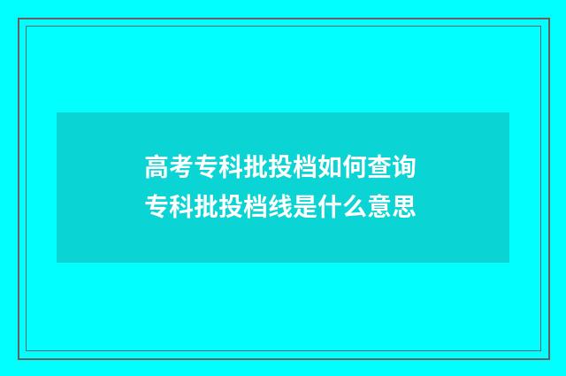 高考专科批投档如何查询 专科批投档线是什么意思