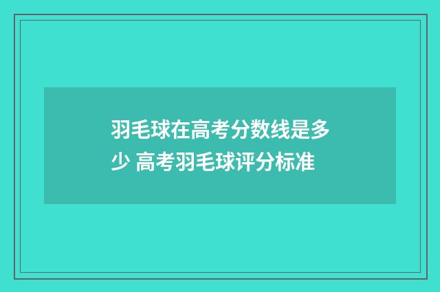 羽毛球在高考分数线是多少 高考羽毛球评分标准