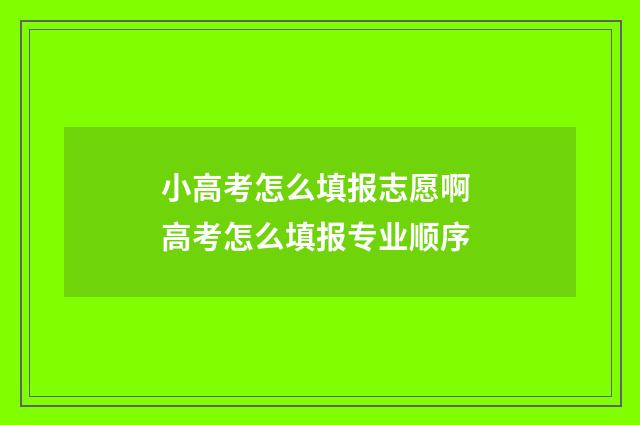 小高考怎么填报志愿啊 高考怎么填报专业顺序