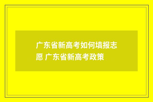 广东省新高考如何填报志愿 广东省新高考政策