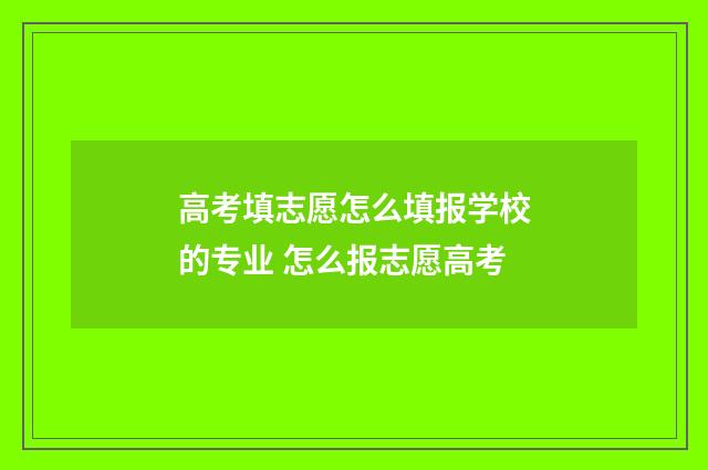 高考填志愿怎么填报学校的专业 怎么报志愿高考