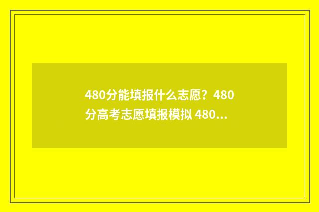 480分能填报什么志愿？480分高考志愿填报模拟 480分能填报什么学校