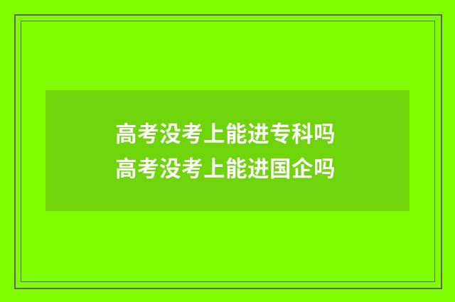 高考没考上能进专科吗 高考没考上能进国企吗