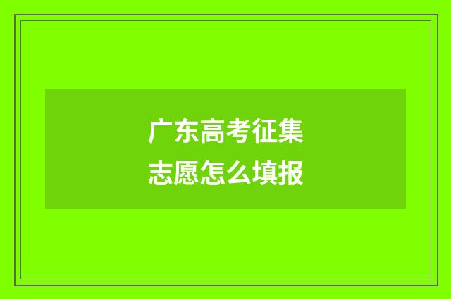 广东高考征集志愿怎么填报