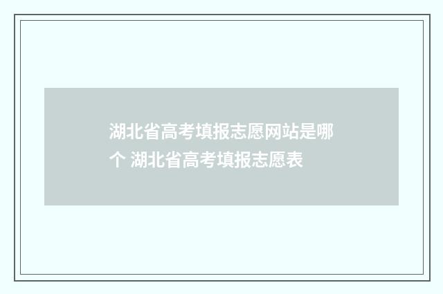 湖北省高考填报志愿网站是哪个 湖北省高考填报志愿表