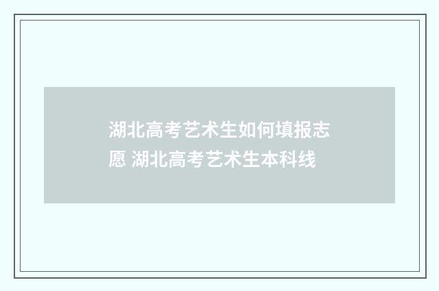 湖北高考艺术生如何填报志愿 湖北高考艺术生本科线