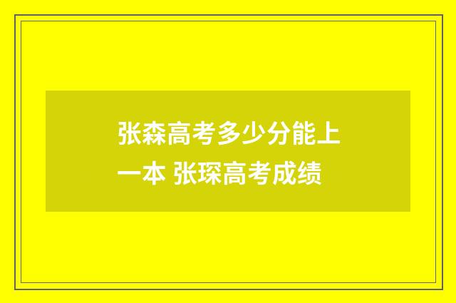 张森高考多少分能上一本 张琛高考成绩