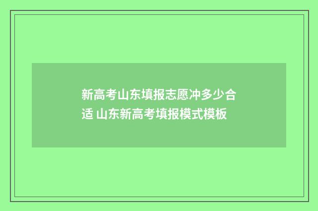 新高考山东填报志愿冲多少合适 山东新高考填报模式模板