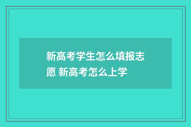 新高考学生怎么填报志愿 新高考怎么上学