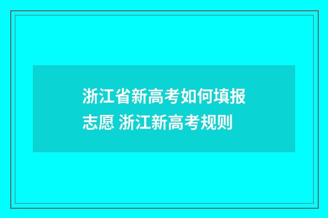 浙江省新高考如何填报志愿 浙江新高考规则