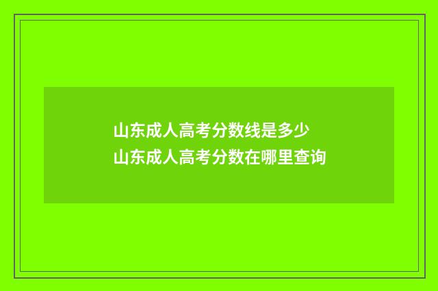 山东成人高考分数线是多少 山东成人高考分数在哪里查询