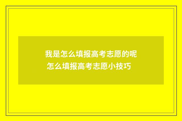 我是怎么填报高考志愿的呢 怎么填报高考志愿小技巧