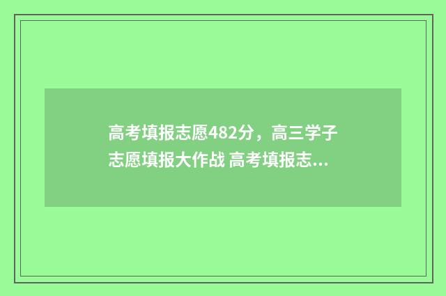 高考填报志愿482分，高三学子志愿填报大作战 高考填报志愿的方法与步骤
