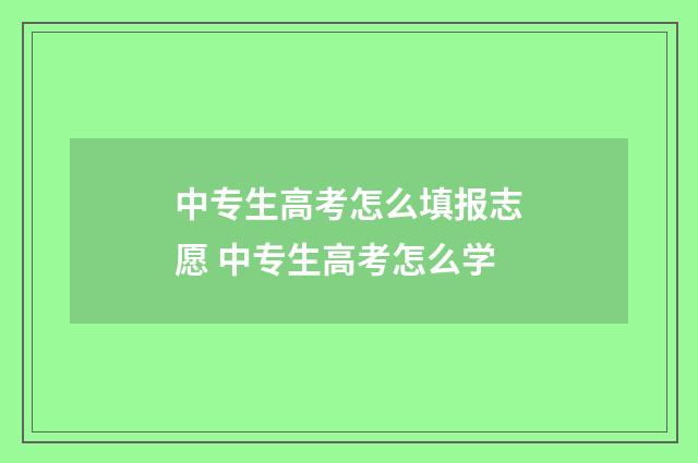 中专生高考怎么填报志愿 中专生高考怎么学