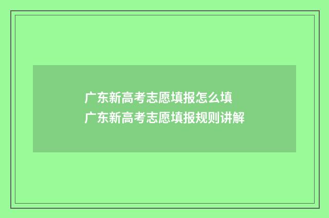 广东新高考志愿填报怎么填 广东新高考志愿填报规则讲解